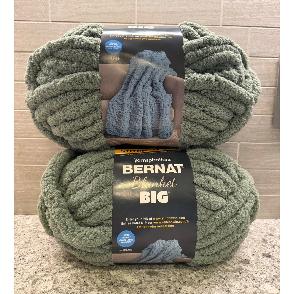 2 Skein Discontinued Bernat Blanket Big Yarn Moss Lichen 10.5oz/300g/32yd/161226